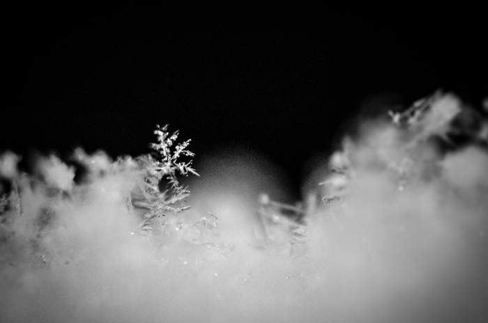 20130105-6591